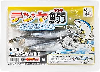 Amazon | 〈冷凍釣りエサ〉浜市［HAMAICHI］いわし[テンヤ用] (生